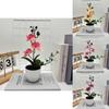 Butterfly Orchid Artificial Plant Home Decor Wedding Photography Prop With Plastic Material For Indoor Use