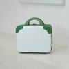 1Pc Cosmetic Case Women's Small Portable Suitcase Travel Storage Bag Small Suitcase Children