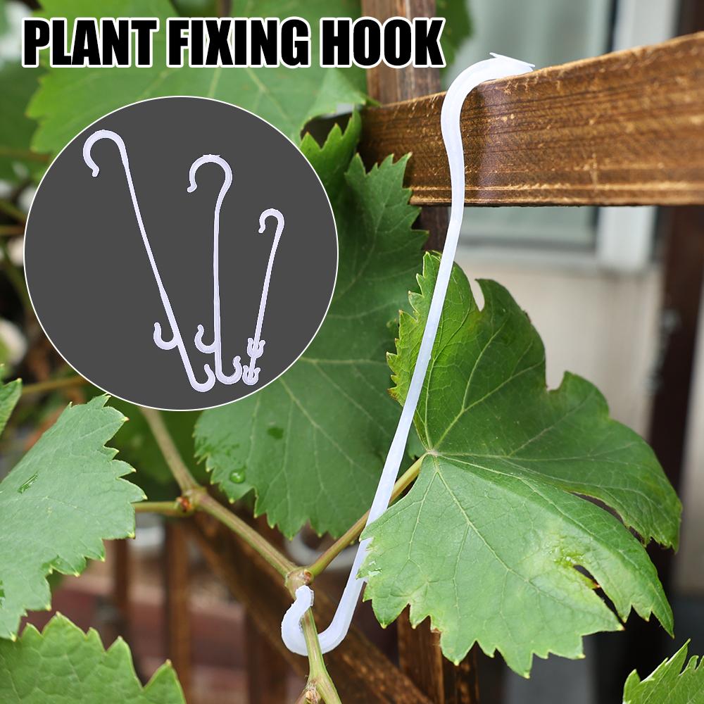 10PCS Plant Fixed Fruit Hooks
