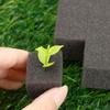 100-500Pcs Hydroponic Sponges Gardening Tool Square Soilless Cultivation Plant Seedling Greenhouse Sponge Vegetable Bud Growth