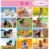 Active Corporation 2027 Calendar Wall Hanging Mori Taibei Marugoto Shiba Inu 27ACL-11 Starts January