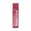 Tinted Daisy Lip Care 4.25g Lip Balm for Dry, Cracked Lips (30322903)