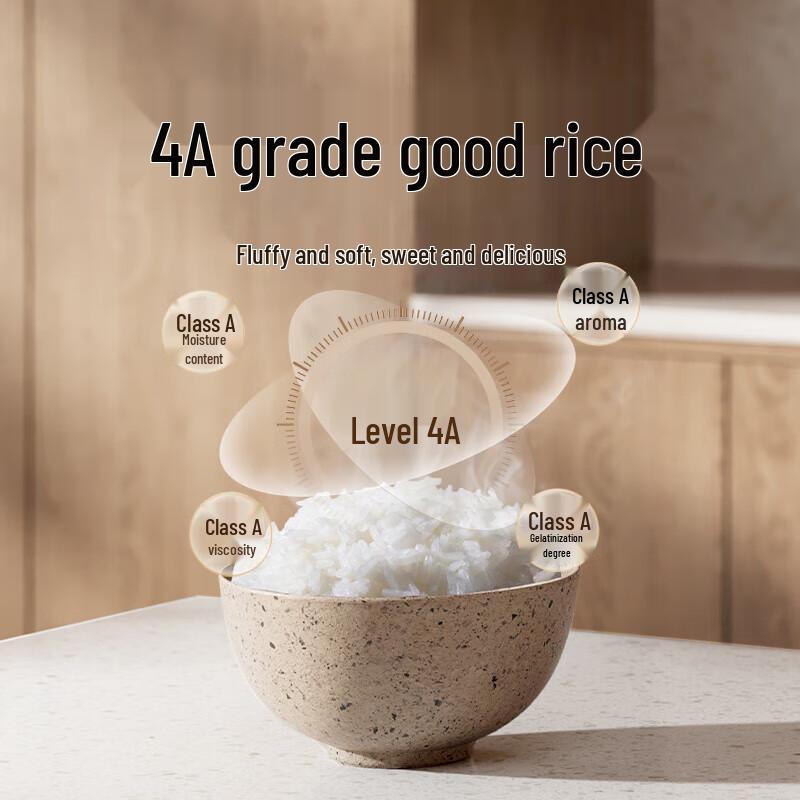 Xiaomi Smart Rice Cooker N1 CN Plug (adapter Included)