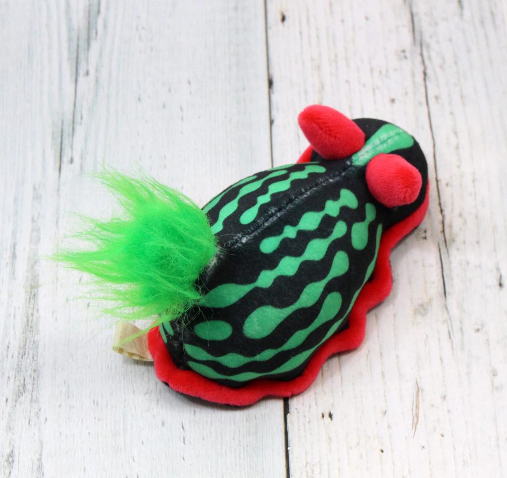 Takeoff Pokepuni Akafuchi Ryugu Sea Slug