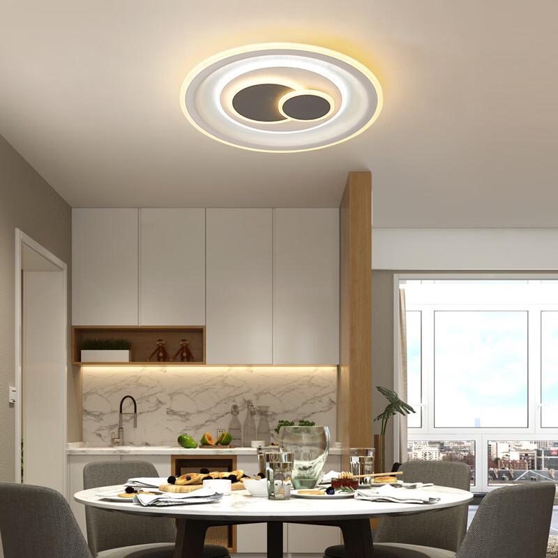 oeny Modern Minimalist LED Ceiling Light