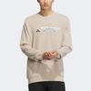 Adidas Graphic Crew Sweatshirt Outdoor Sports Round Neck Pullover Men Sweatshirt Beige IT8844