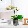 Self Watering Pots for Indoor Plants Small Plastic Planter Modern Wicking Flower Pot with Wick Rope And Reservoir for Violets Ocean