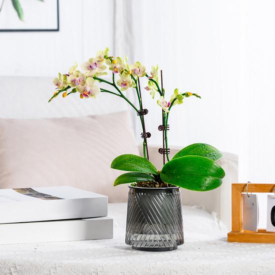 Self Watering Pots for Indoor Plants Small Plastic Planter Modern Wicking Flower Pot with Wick Rope And Reservoir for Violets Ocean