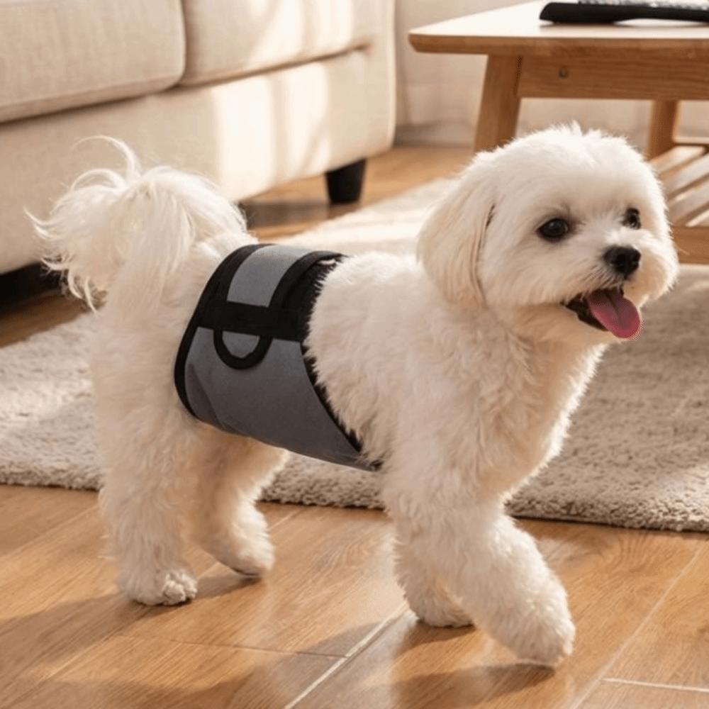 Breathable Dog Training Pants Anti Harassment Anti Urination Dog Physiological Pants Belly Band Clothes Protective Pants