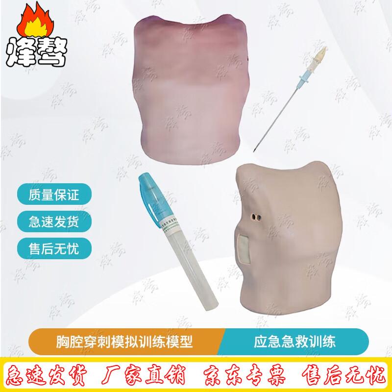 Emergency First Aid Thoracic Puncture Training Module