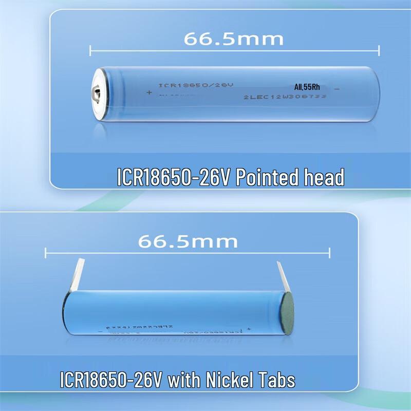 Xinkaicen 18650 Lithium Battery and USB Charger Kit