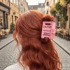 Warning Message Overstimulated Hair Clip Novelty Warning Sign Hairpins  Daily