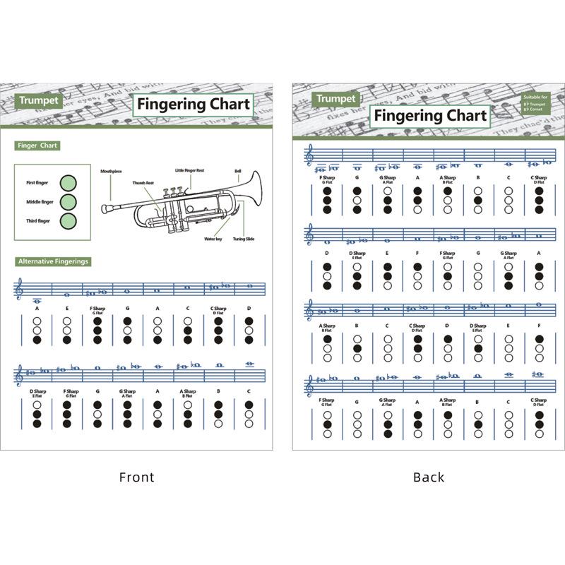 Compact Trumpet Fingering and Chord Chart Diagram