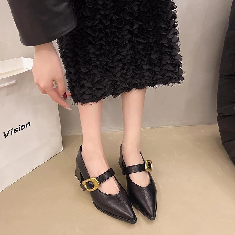 Autumn New Coarse Heel Shoes Women's Fashion Pointed Head Shallow Mouth Metal Buckle Non-slip Low-top Shoes