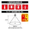 Luminous LED Toilet Deodorizing Light Bulb, Daylight White, with Motion Sensor, 40W Equivalent, LDDR-40NHS