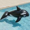Orca Inflatable Pool Float