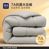 HLA 7A Antibakterielle Winterdecke aus Sojafaser