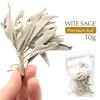 White Sage Cluster with Branches, 10g, Selected Premium Leaf, Pesticide-Free, California-Grown, Aroma White Sage
