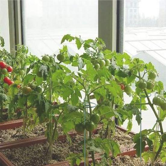 12 Pcs Tomato Twist Stakes Spiral Plant Support Stakes Climbing Plant Stakes for Tomato Butterfly Orchid Flowers Home Gardening