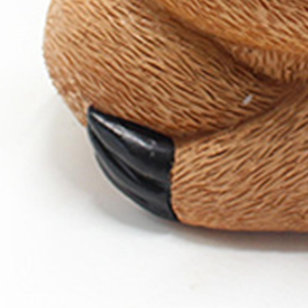 Lenistwo Ozdoby Doniczek Innowacyjne Żywiczne Doniczki na Sukulenty Sadzarka Ozdoby na Biurko