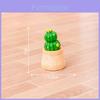 Cacto de Resina Miniatura Encantador Para Mesa Acessórios de Jardim DIY Decoração de Planta Fofa
