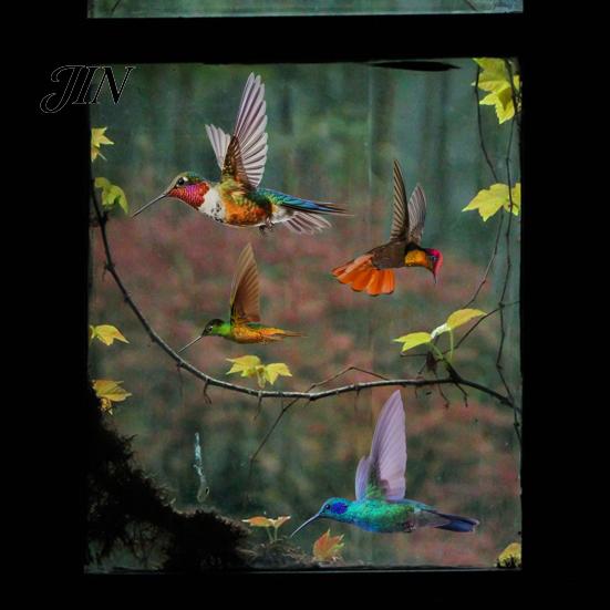 Bird Strike Deterrent Hummingbird Window Clings, Protection Decals, Removable PVC Anti-Collision Static Stickers Safe Cling for Glass Doors