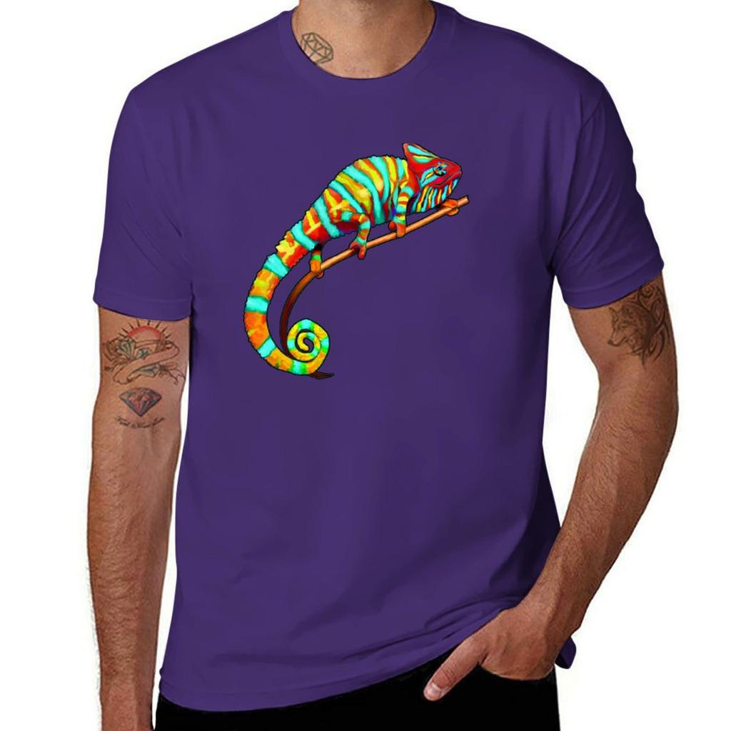Colorful Chameleon Love - Rainbow Lizard T-Shirt customs vintage clothes cute clothes graphics funny t shirts for men