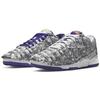 Nike Dunk Low Purple/White Shoe DJ4636-100