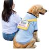 Golden Retriever Edge Shepherd Big Dog Clothes Autumn and Winter Thin Medium and Large Dog Sweater Fleece Sweater Pet Clothes