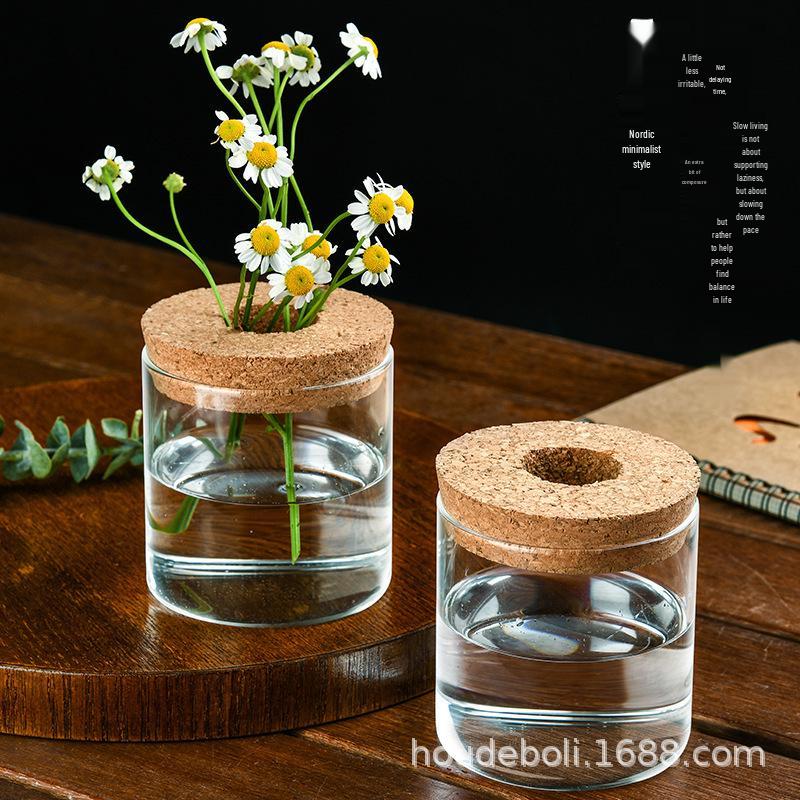 Desktop Borosilicate Glass Mini Ornament: Micro Landscape Hydroponic Plant Jar & Multifunctional Storage Bottle