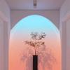 Oeny Sunset Red Ambient Wall Washer and Picture Light