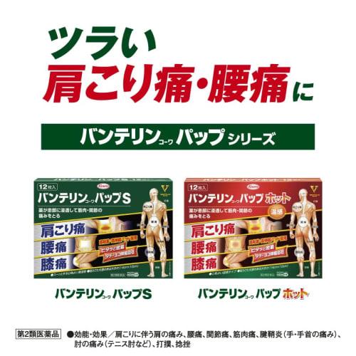 [Category 2 OTC Drug] Vantelin Kowa Hot Pap, 24 Sheets