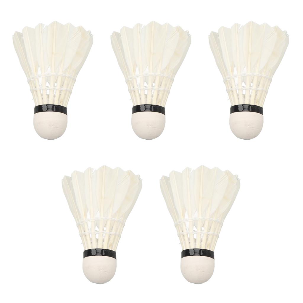 5pcs LED Badminton Shuttlecocks Dark Night Glow Birdies Lighting Switch Control Elastic Goose
