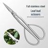 Stainless Steel Floral Scissors for Bonsai and Pruning