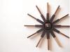 Interform Sirio Wall Clock Wood Sweep Movement 44cm CL-3346BK Black/White