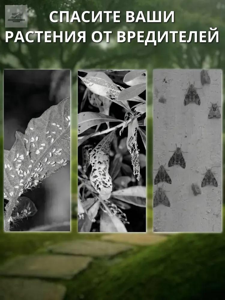 Sticky trap butterfly from insects and midges in pots, Velcro adhesive plate from flies, protection from aphids of flies