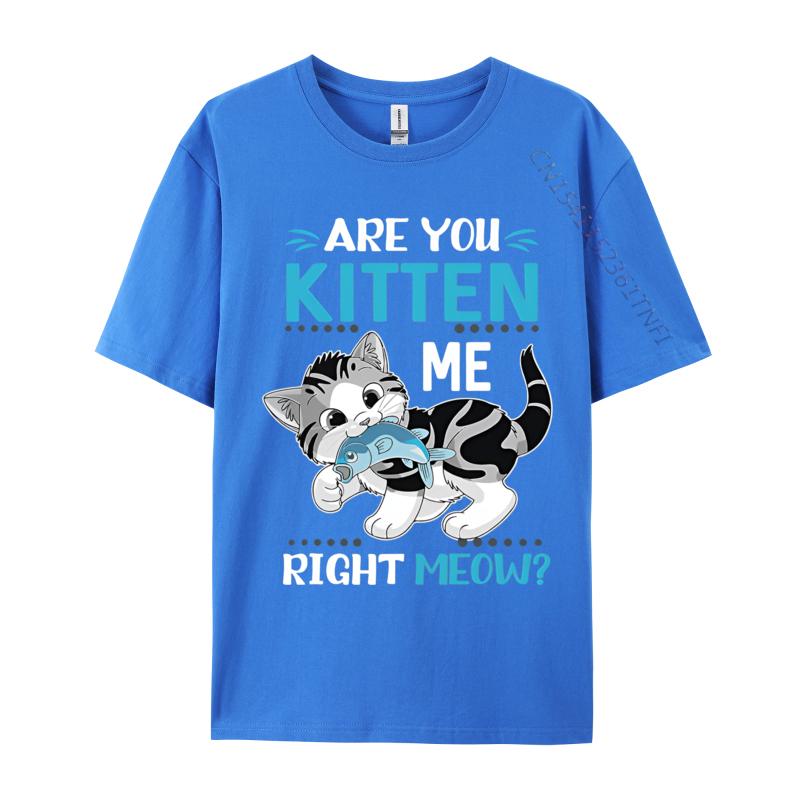 Are You Kitten Me Right Meow Funny Tshirts Plus Size Tops Anime Printed Tshirt Cotton Casual Brand T Shirt