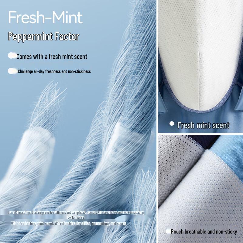 Hailan Home Mint Factor Men's Modal Boxer Briefs 3-Pack