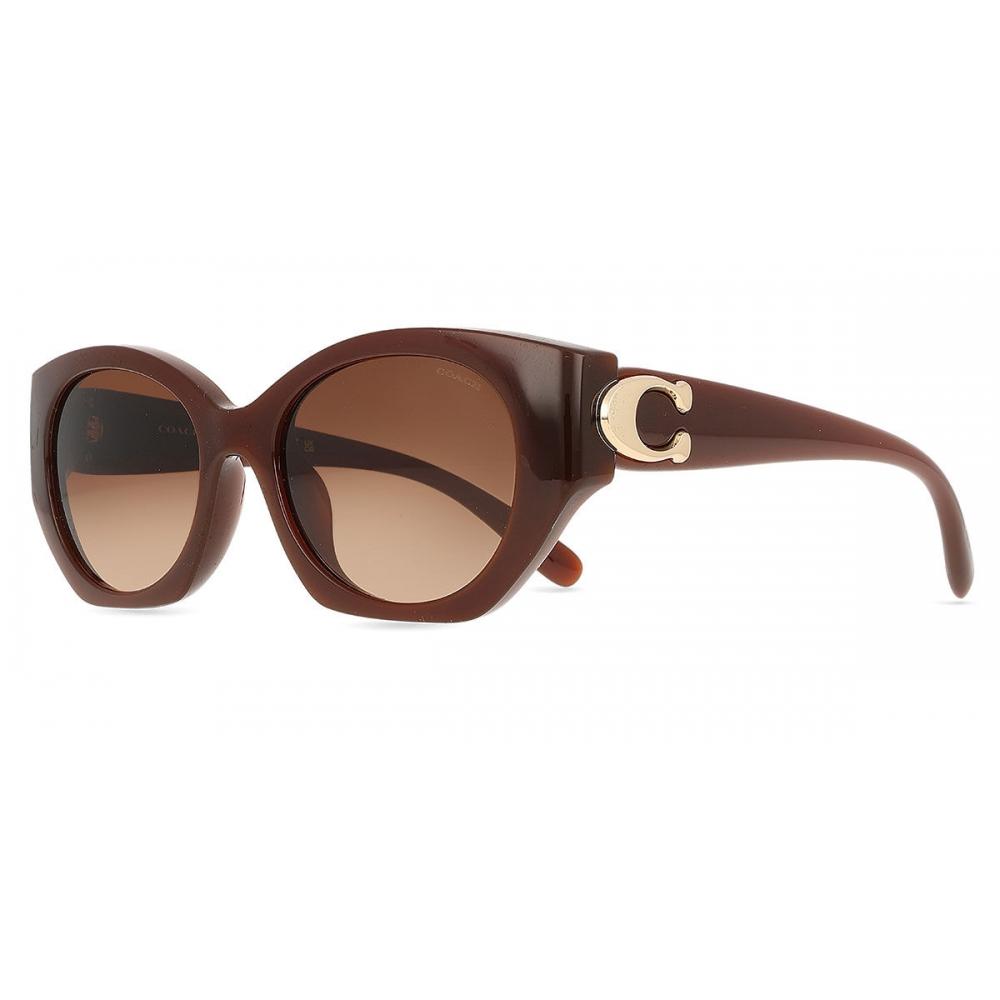 Coach Hc8407u Cw194 584174 Women Sunglasses
