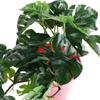 Desk For Home Living Room Garden Decor Simulation Plants Fake Plant Green Plant Turtle Leaves