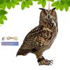 2D Bird Repel Scarecrow Durable Owl Scarer Pendant Bird Repellent Bell Pastoral Orchard Decorative Scarer Pendant