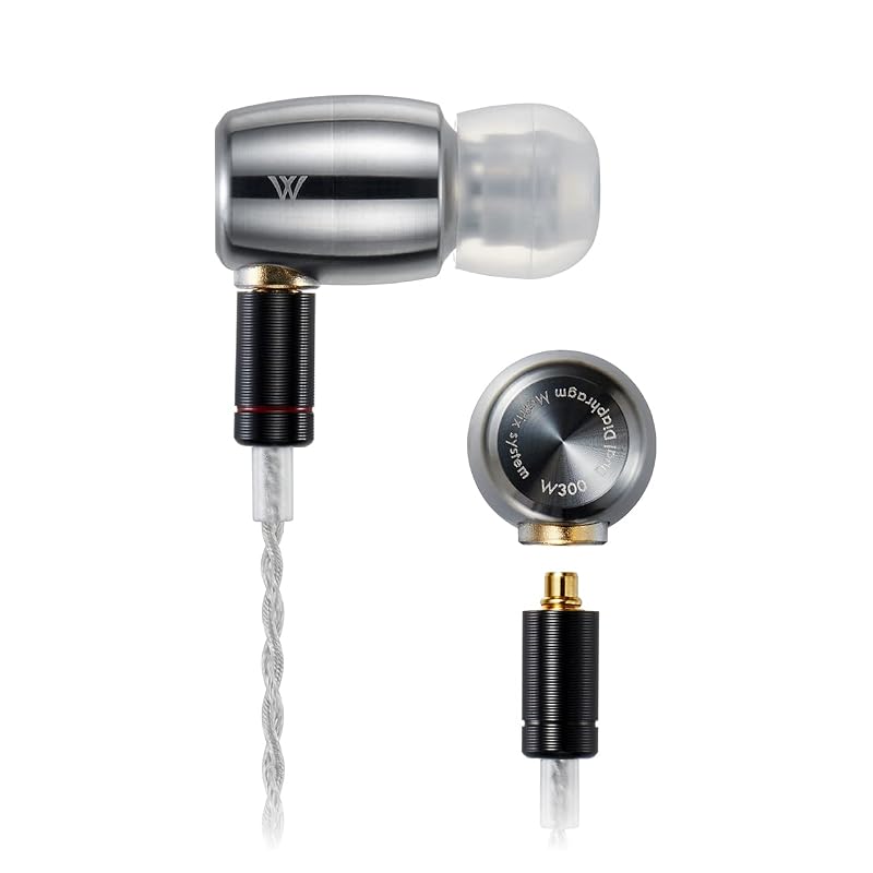 Radius HP-W300 Double V Series Titanium Alloy Housing High-Resolution Audio Earphones: High-Resolution Audio, MMCX Detachable Cable, Titanium Alloy