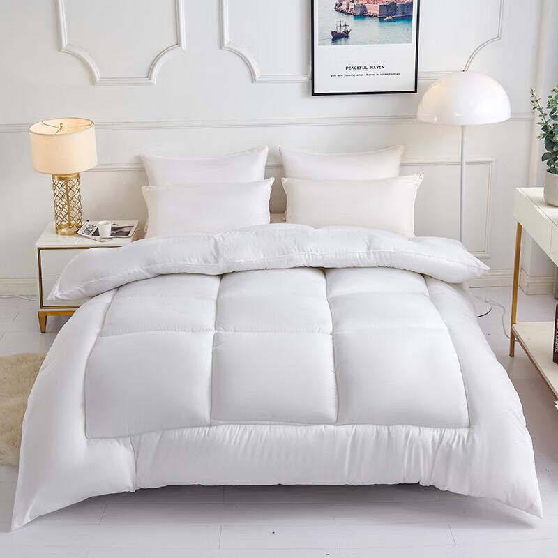 

AORUOLA Home Textile All-Season Soft Quilt