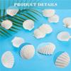 Punching hole Small Sea Shells For Crafts Crafting Shell Bulk Real Seashells Natural Mother Of Pearl Shell Pendant Sector-Shaped