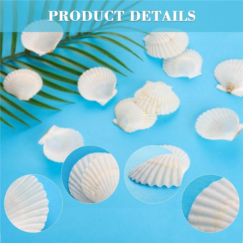 Punching hole Small Sea Shells For Crafts Crafting Shell Bulk Real Seashells Natural Mother Of Pearl Shell Pendant Sector-Shaped