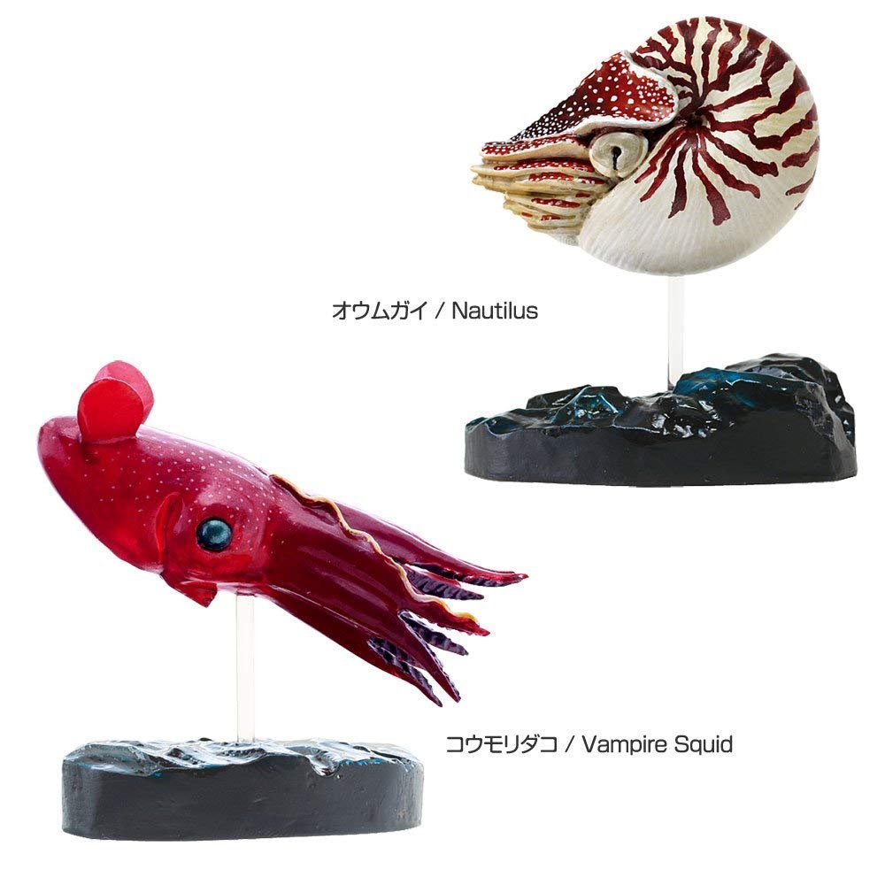 Calorata Deep Sea Creatures 3D Encyclopedia Crab 8 Species Includes Instruction Manual and Realistic Figures Birthday Present Gift Sanitation Law Toy
