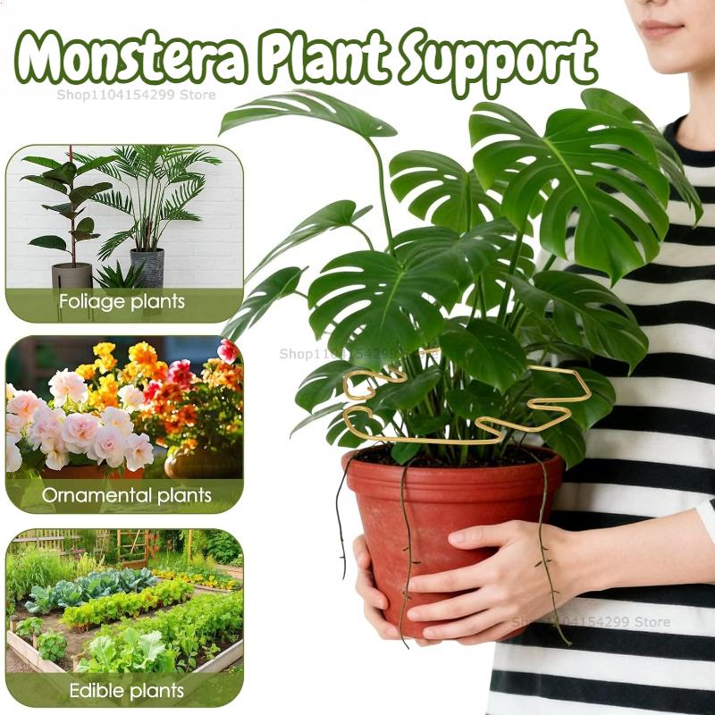 Large Monstera Plant Support Frame Sturdy Climbing Stems Leaf Stabilizer for Tall Houseplant Hanging Plant Stand plants holder