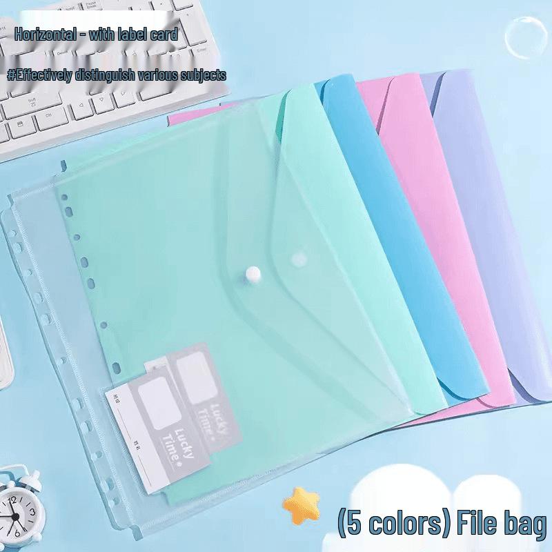 

Сумка для хранения экзаменационных работ: Альбом-файл на кольцах для студентов