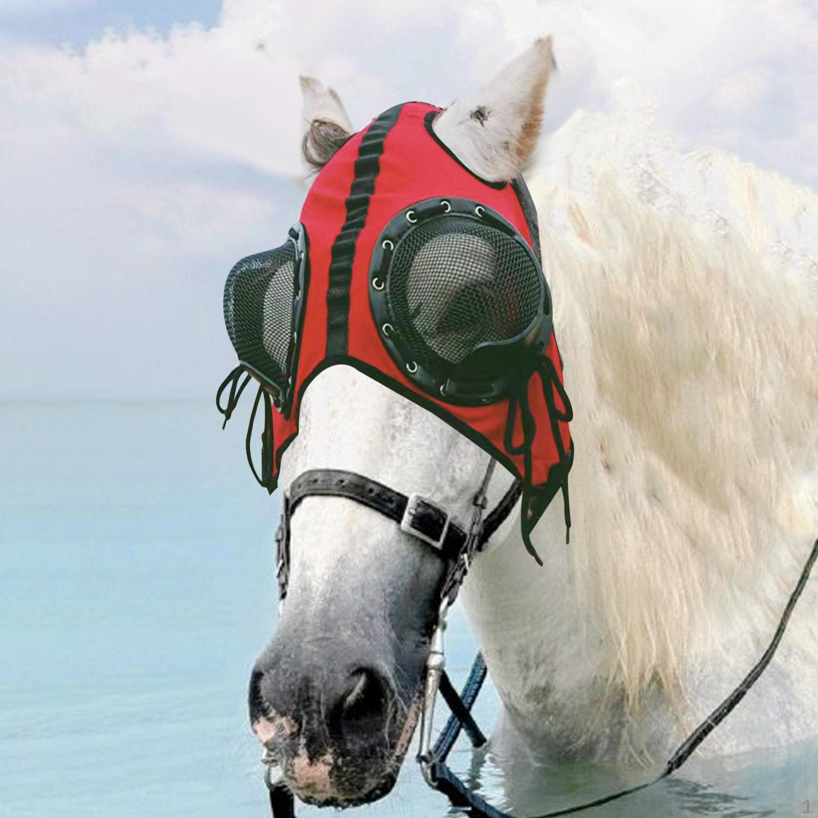 

Goggles, Professional Sandproof Eye for Riding красный