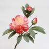 Simulation Flower Chinese Peony Home Furnishing Living Room Decoration Floor Ornament Photography Props Fake Flower